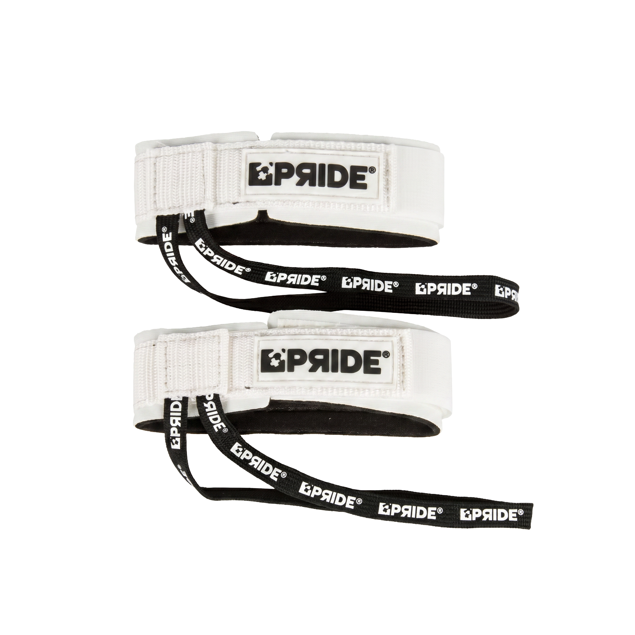 LEASH PALME PRIDE