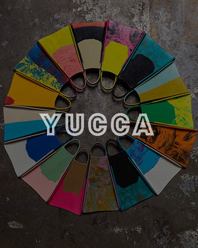 Yucca