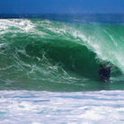 BODYBOARD PRIDE REALEST PP SDC