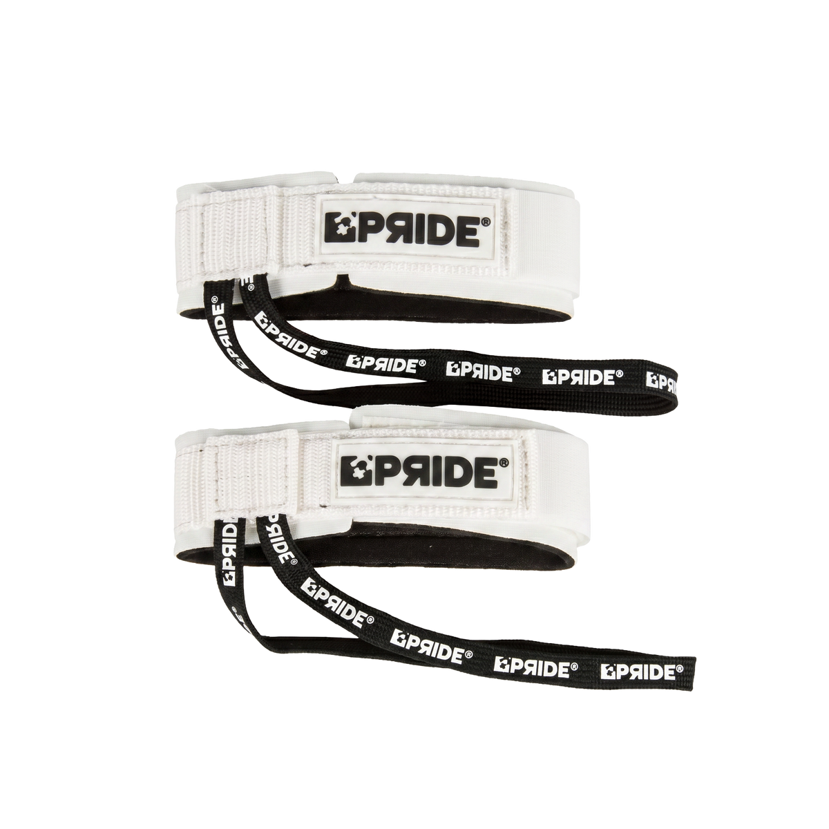 LEASH PALME PRIDE